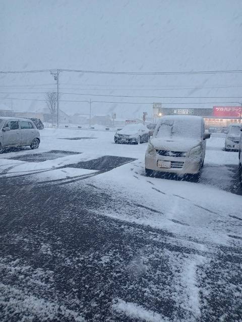 ファイル 36-1.jpg