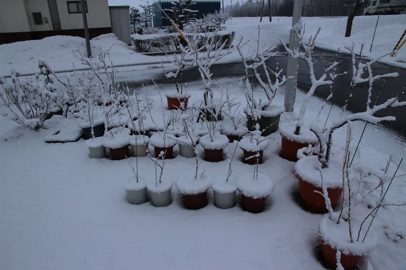 ファイル 37-1.jpg