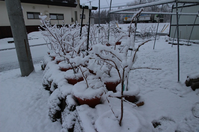 ファイル 37-2.jpg