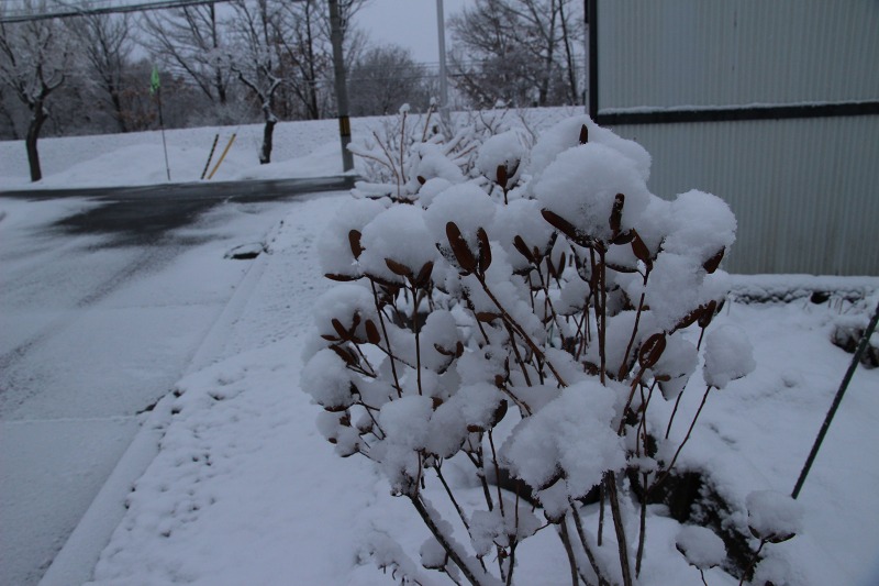 ファイル 37-3.jpg