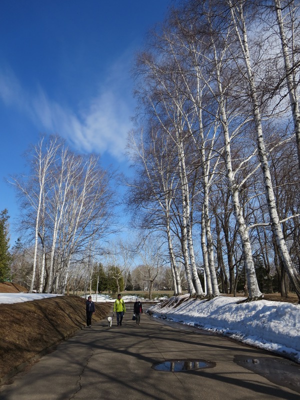 ファイル 38-3.jpg