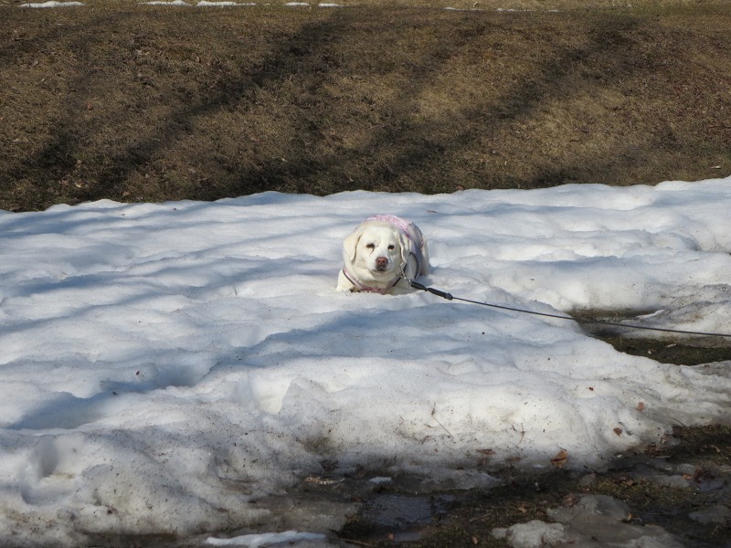 ファイル 38-4.jpg