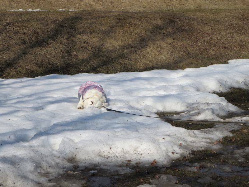 ファイル 38-5.jpg