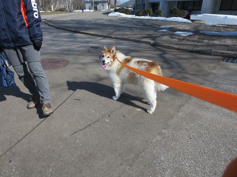 ファイル 38-6.jpg