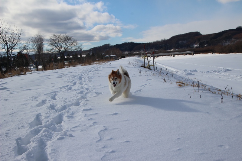 ファイル 4-3.jpg