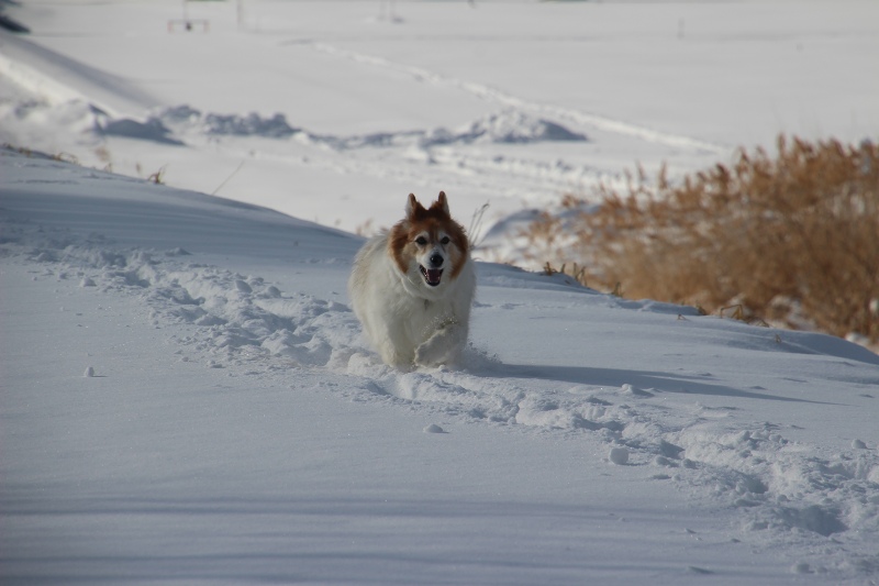 ファイル 4-5.jpg