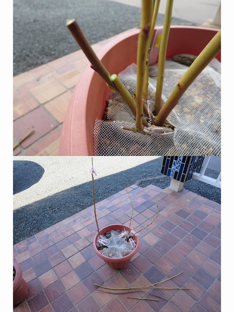 ファイル 42-2.jpg