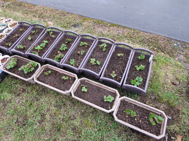 ファイル 42-4.jpg