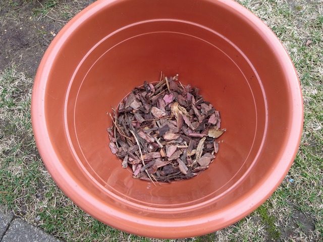 ファイル 42-5.jpg