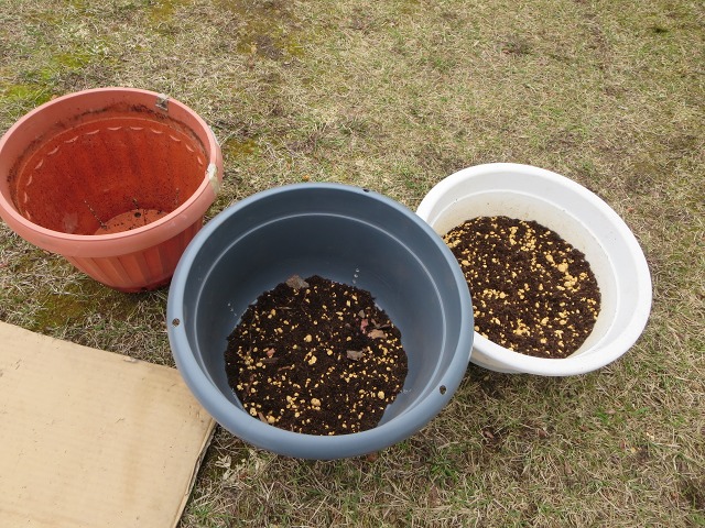 ファイル 42-7.jpg