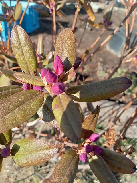 ファイル 42-8.jpg