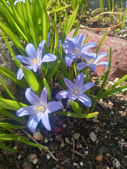 ファイル 42-9.jpg