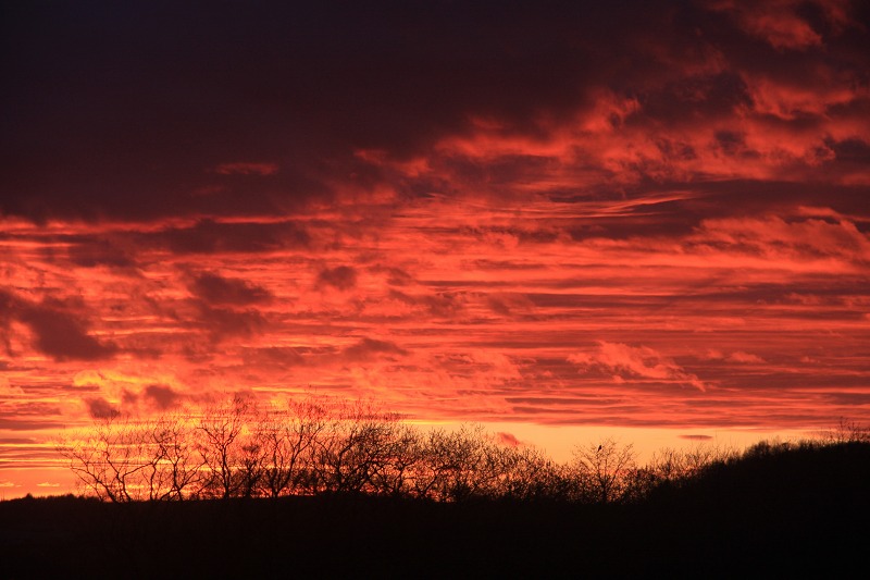 ファイル 43-2.jpg