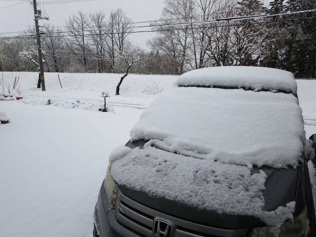 ファイル 46-1.jpg