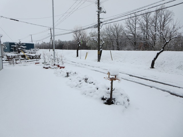 ファイル 46-2.jpg