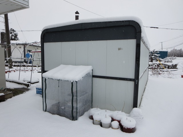 ファイル 46-3.jpg