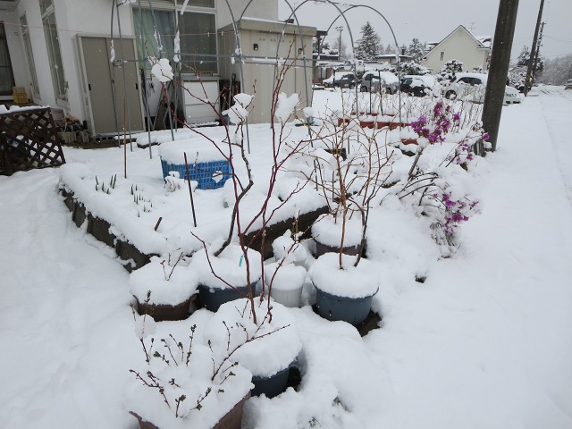 ファイル 46-4.jpg