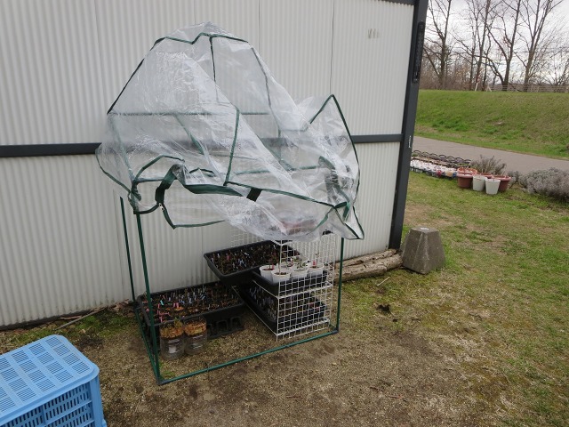 ファイル 47-1.jpg