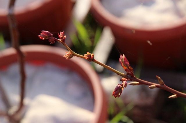 ファイル 48-6.jpg