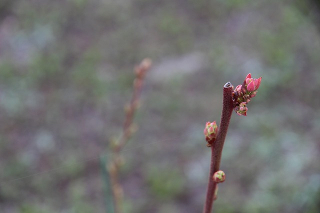 ファイル 48-7.jpg