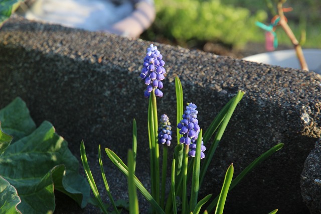 ファイル 48-8.jpg