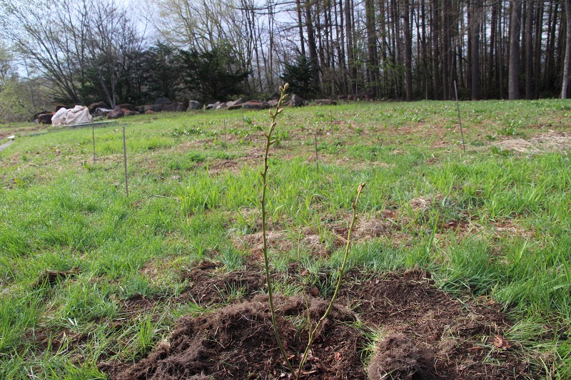 ファイル 48-9.jpg