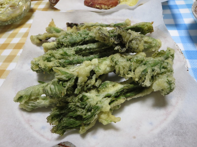 ファイル 49-3.jpg