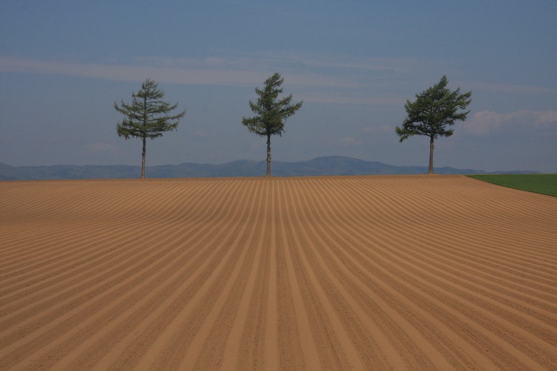 ファイル 49-7.jpg