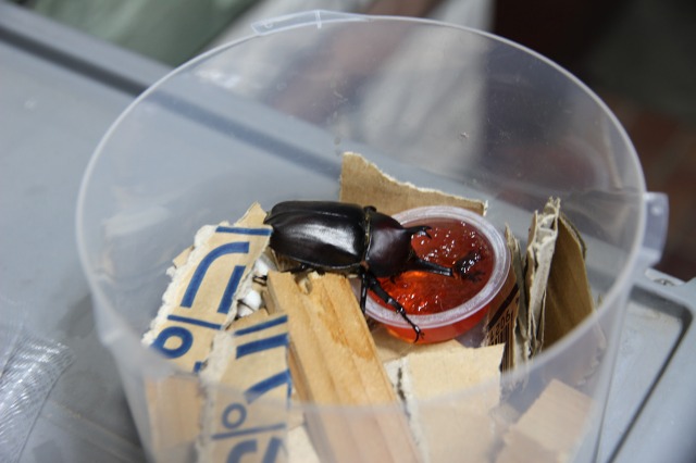 ファイル 50-1.jpg