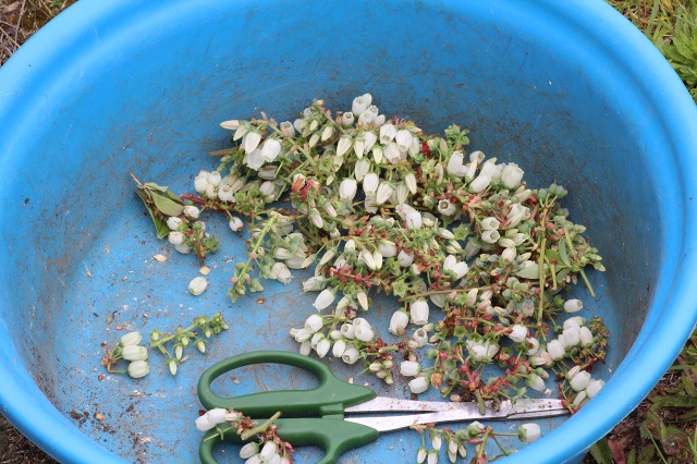 ファイル 51-5.jpg