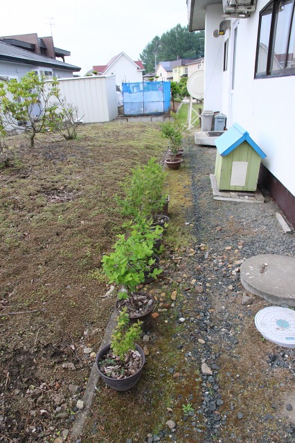 ファイル 53-2.jpg