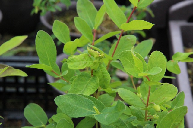 ファイル 53-4.jpg