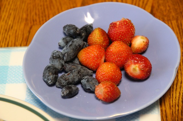 ファイル 59-2.jpg