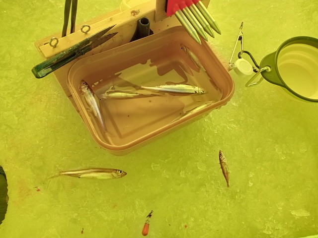 ファイル 6-1.jpg