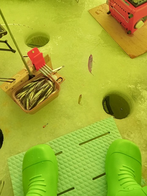 ファイル 6-6.jpg