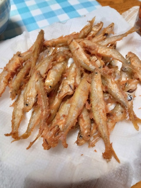 ファイル 6-8.jpg