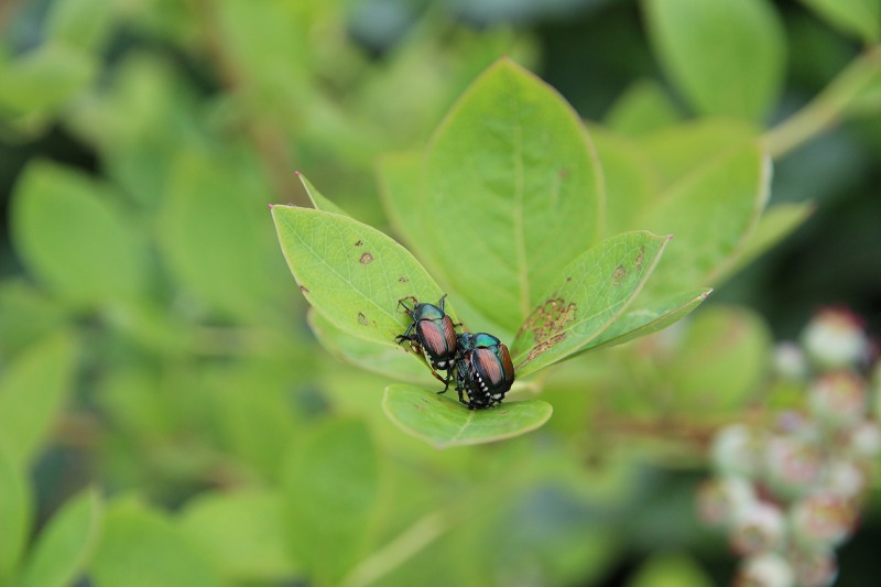 ファイル 60-1.jpg