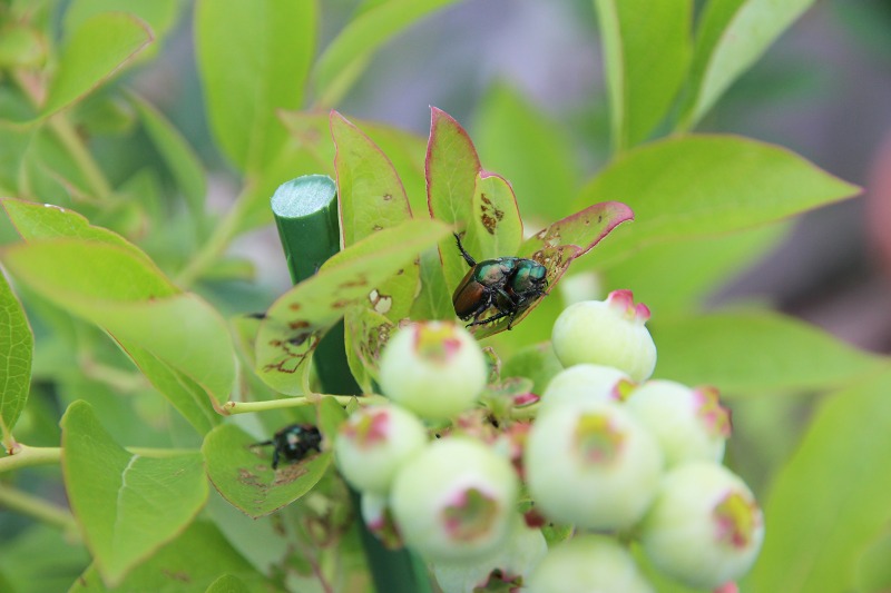 ファイル 60-2.jpg