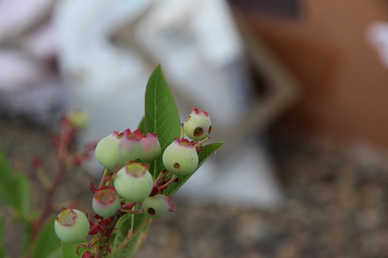 ファイル 60-3.jpg