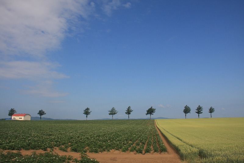 ファイル 62-1.jpg