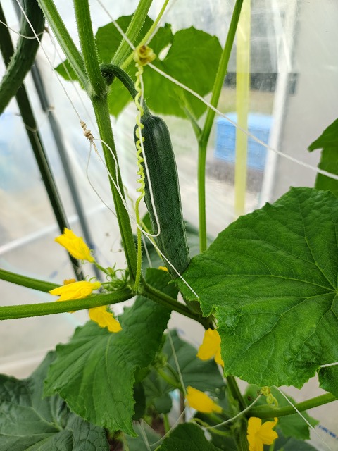 ファイル 62-6.jpg