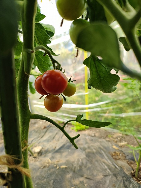 ファイル 62-8.jpg