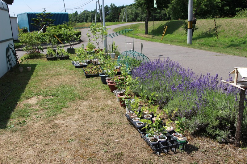 ファイル 63-1.jpg