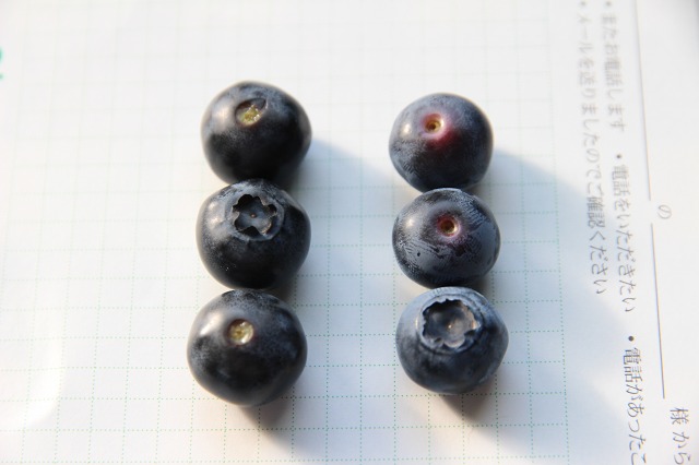 ファイル 63-2.jpg