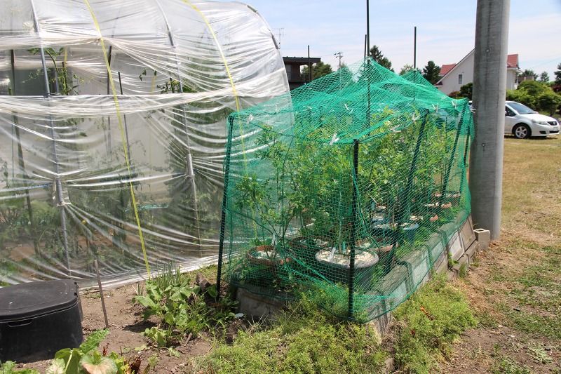 ファイル 63-3.jpg