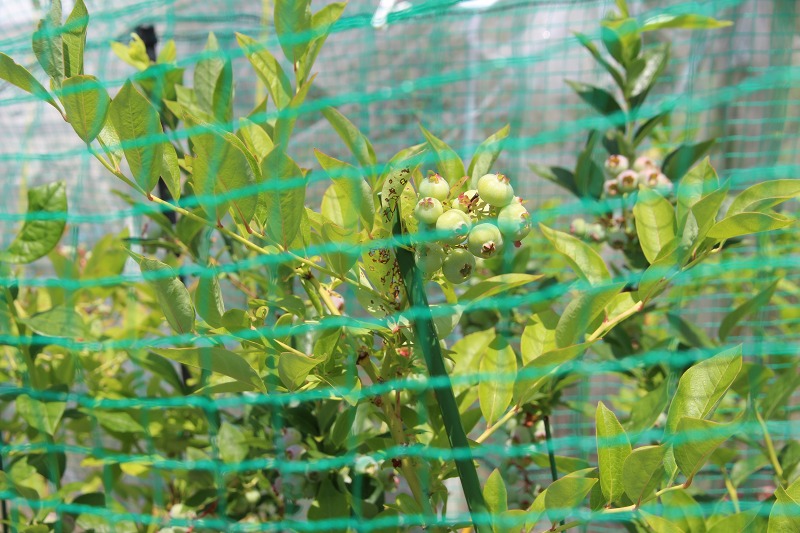 ファイル 63-6.jpg