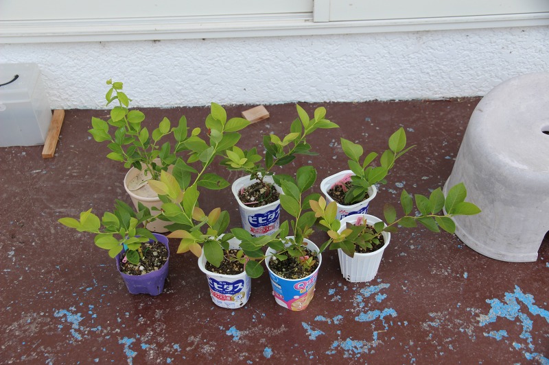 ファイル 63-7.jpg