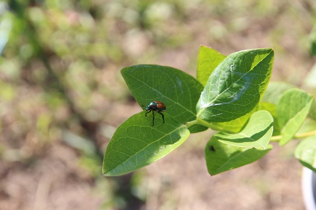 ファイル 64-1.jpg