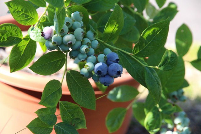 ファイル 64-2.jpg