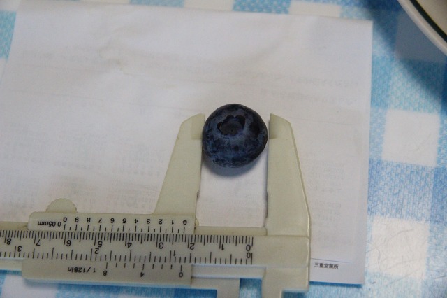 ファイル 64-3.jpg